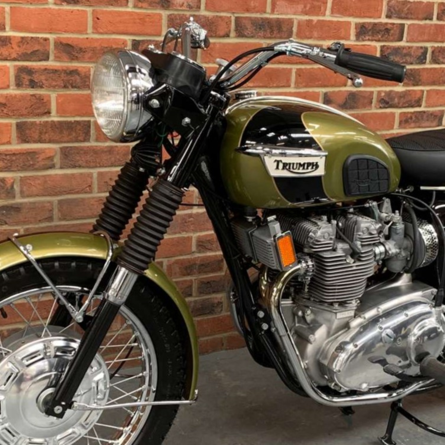 Triumph Spring Gold Paint Product